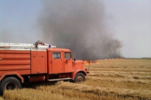 Slika /PU_VS/Pozari/vatrogasci gase pšenicu.JPG